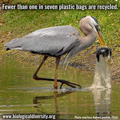 Plastic Bag Facts